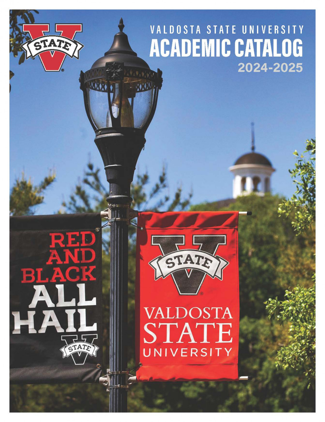 A photo of a light post with Valdosta State flags on a sunny day.